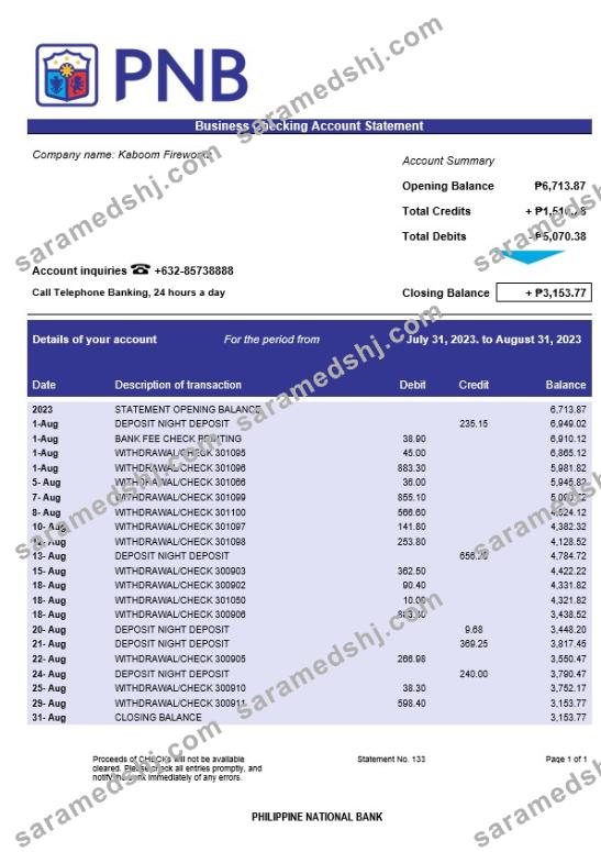 Philippine National Bank Business statement Word and PDF template